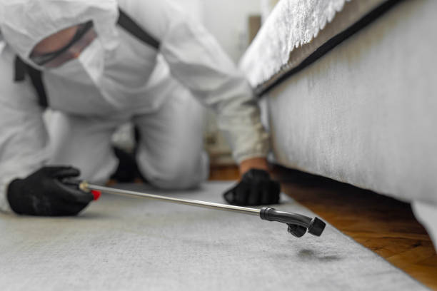 Professional Bed Bug Control technician working in Anacoco, LA