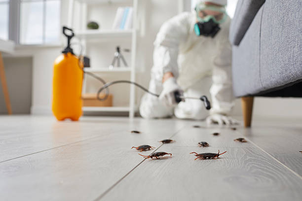 Trusted Cockroach Control service in Anacoco, LA - Nex Pest Control